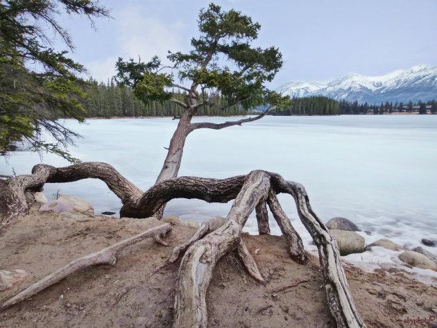 Aan de oever van Lac Beauvert