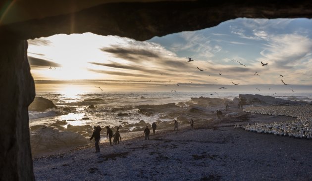 Filmploeg op Lambert’s Bay Bird Island Nature Reserve