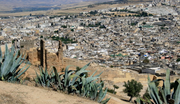 met uitzicht op Fes