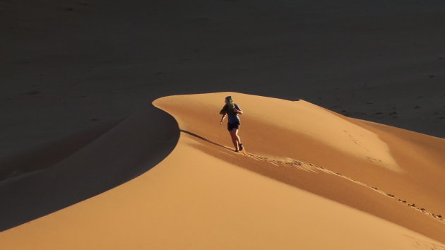 zon zand en silhouet