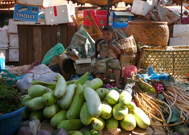 Marktkoopman in de dop .