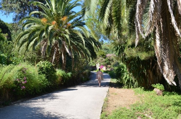 Het oudste naturisme