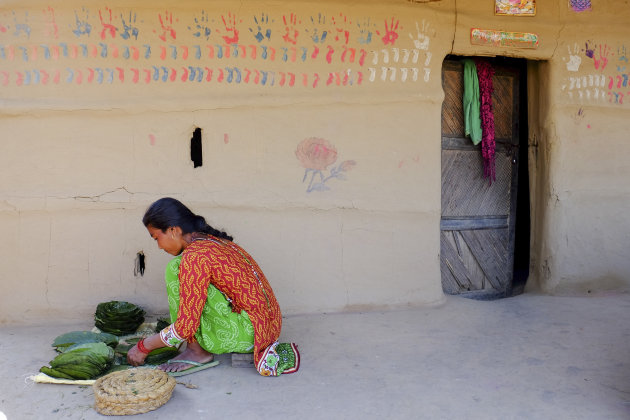 voorbereidingen Betel pruim ( Paan)