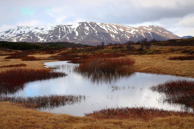 Thingvellir Ontwaakt na de Winter