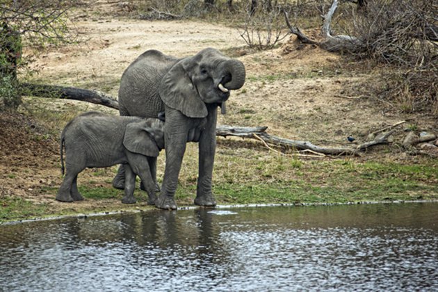 Samen drinken