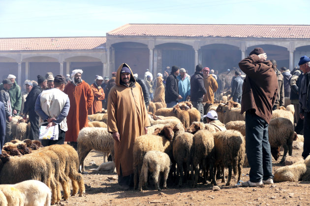 Weekmarkt in Azrou