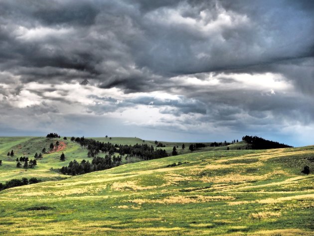 Custer State Park