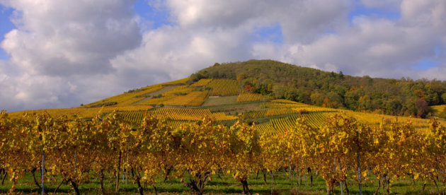 gouden bergen