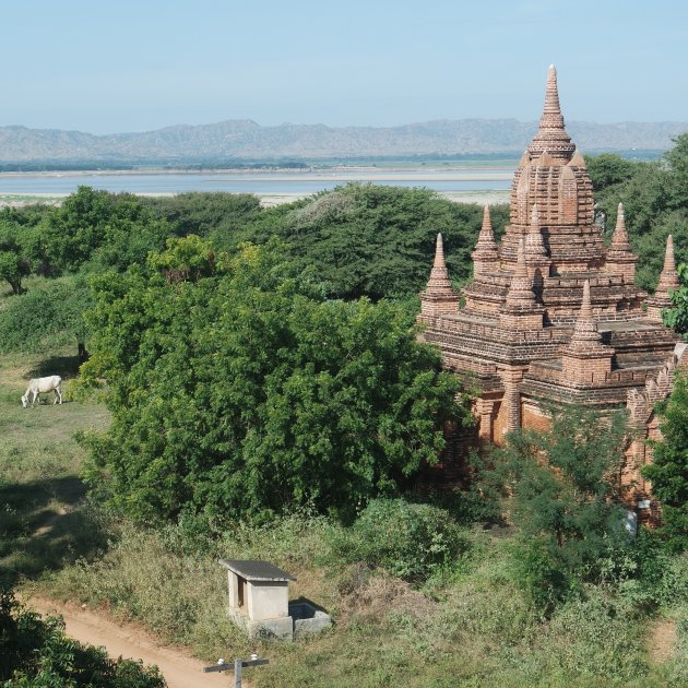 Bagan