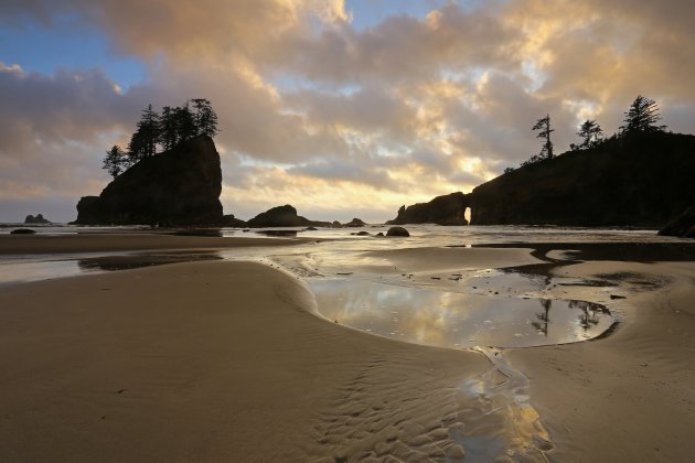 Second Beach in Olympic N.P.