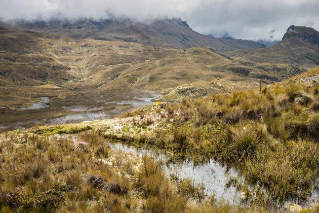 El Cajas NP