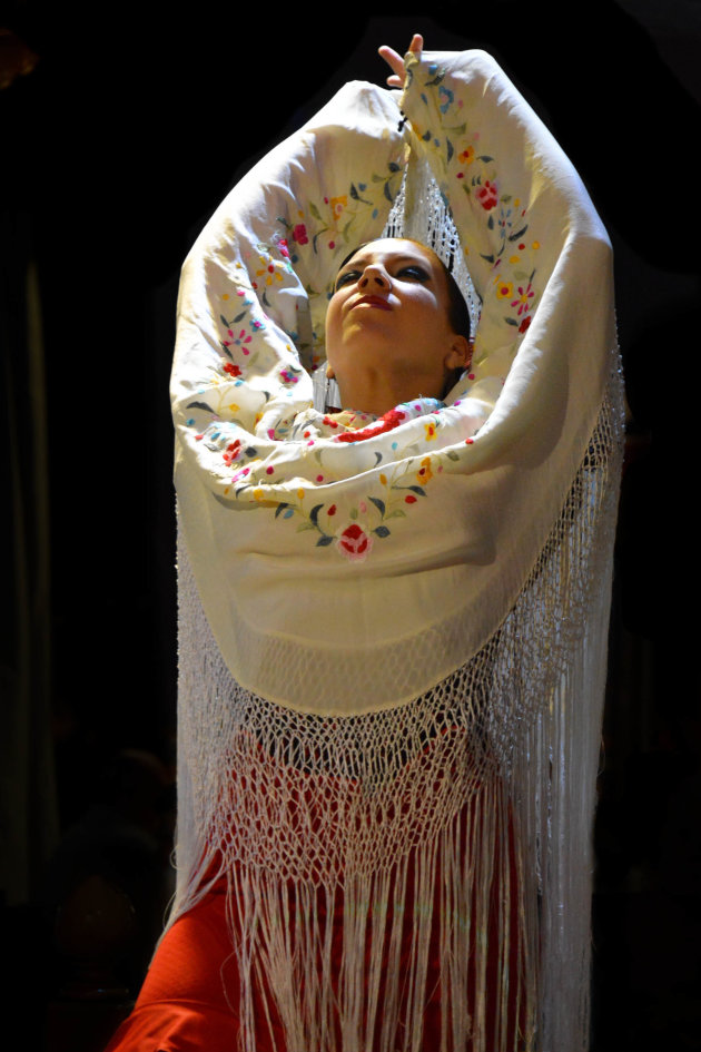 Flamenco danseres