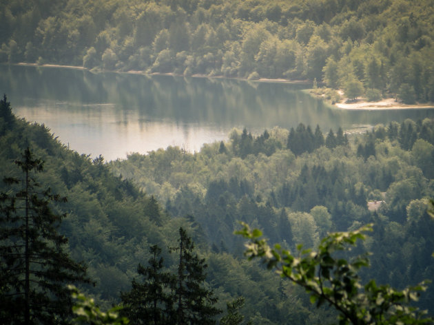 Uitzicht op het meer van Bohinj 