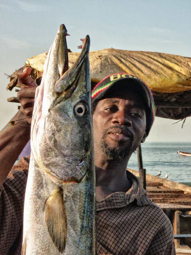 Visser met barracuda