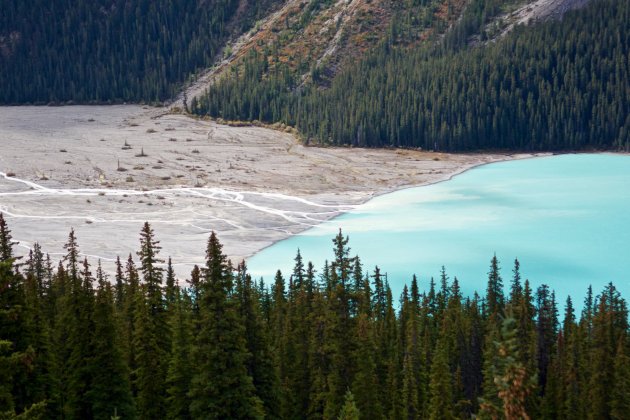 Droog vallende Peyto Lake 