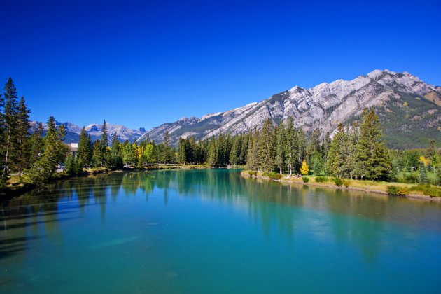 Bow River - Banff