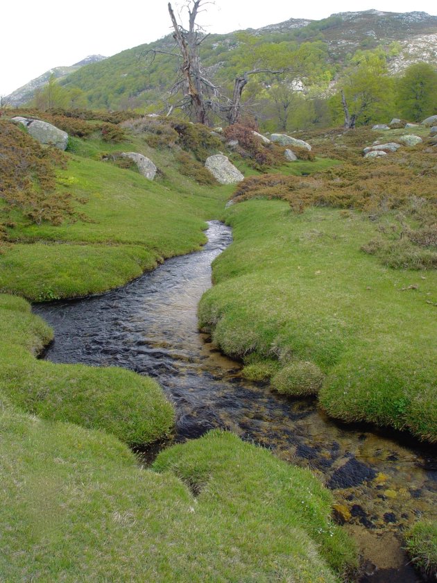 Pozzines du Plateau de Coscione