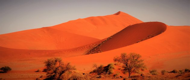 Golvend duinlandschap