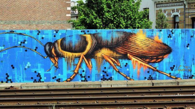 Machtige insecten langs het spoor