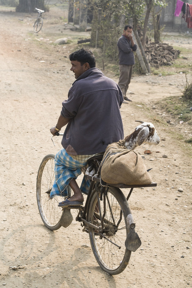 Transport fiets