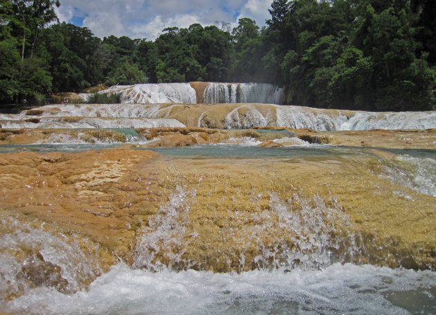 Cascadas de Agua Azul