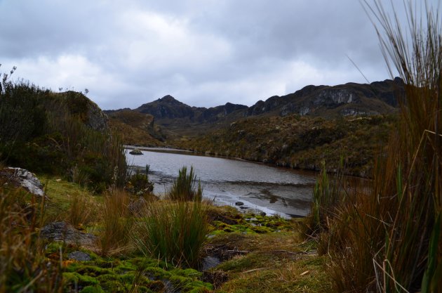 Parque Nacional Cajas