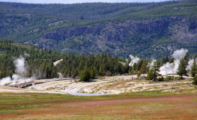 Yellowstone