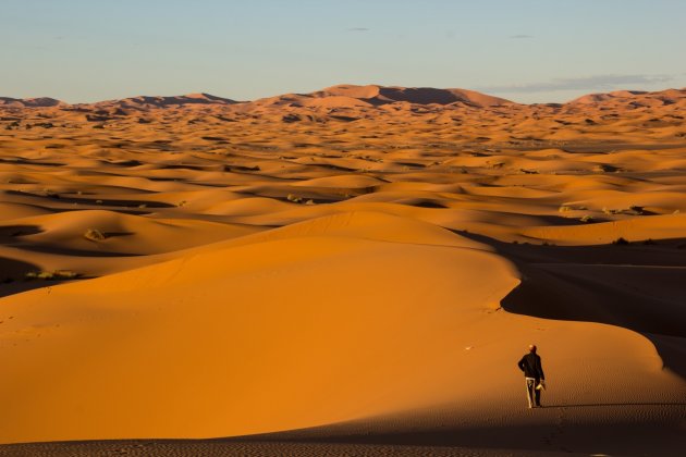 De eenzame wandelaar