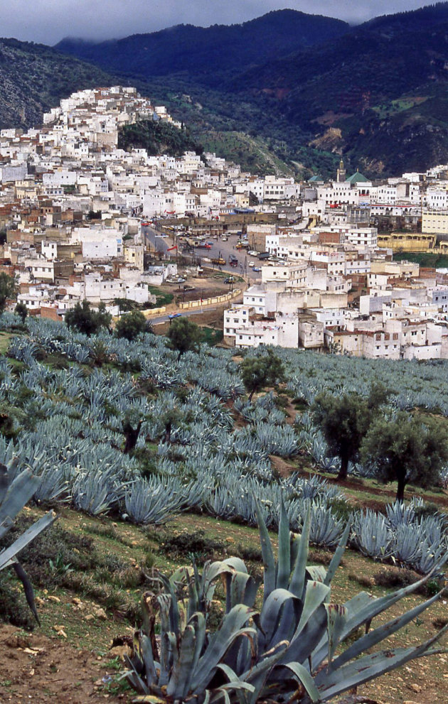 Zicht op Moulay Idriss