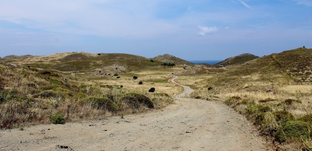 Op weg naar rotskerk