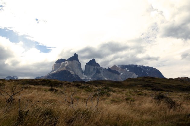 Torres del Paine 4