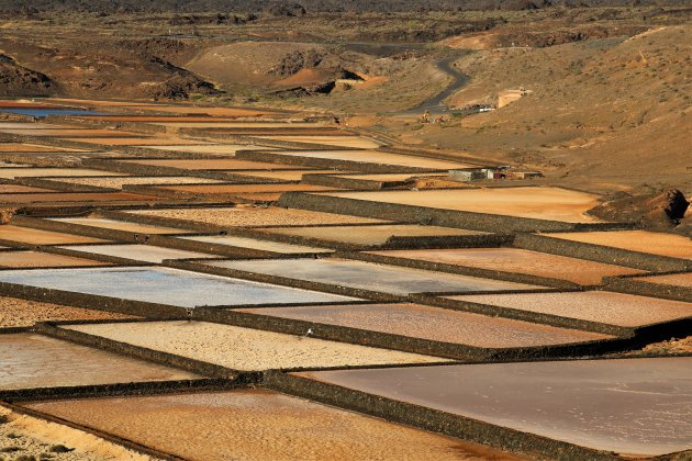 Salinas de Janubio