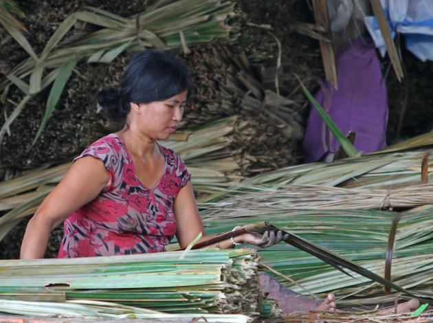 Dame Mekong Delta