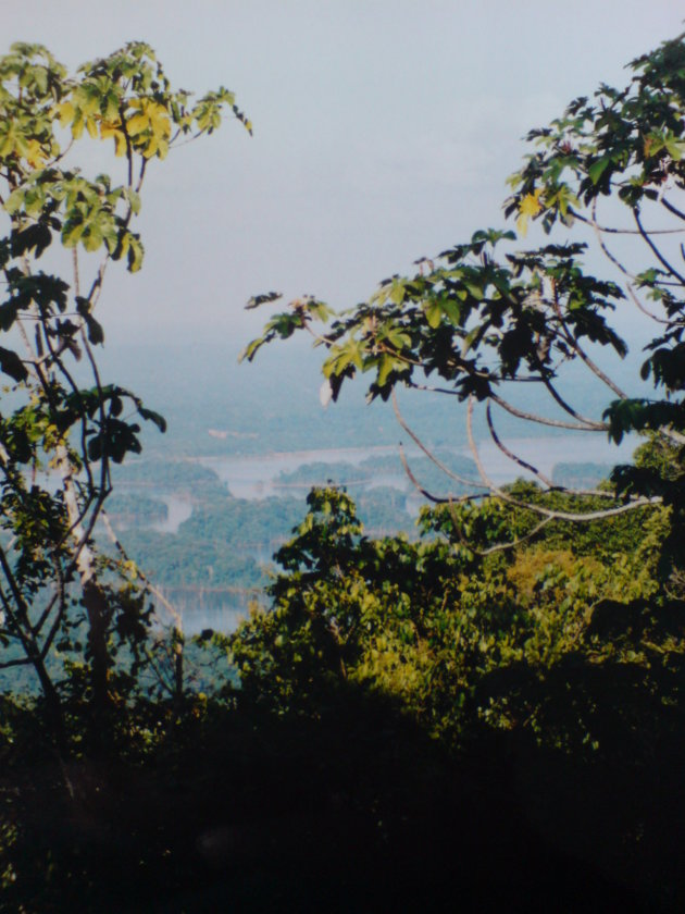 2001-2002 Brownsberg Natuurpark.