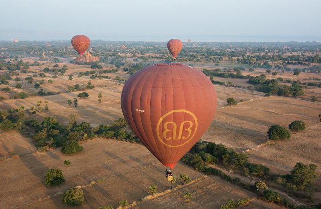 The dawn flight