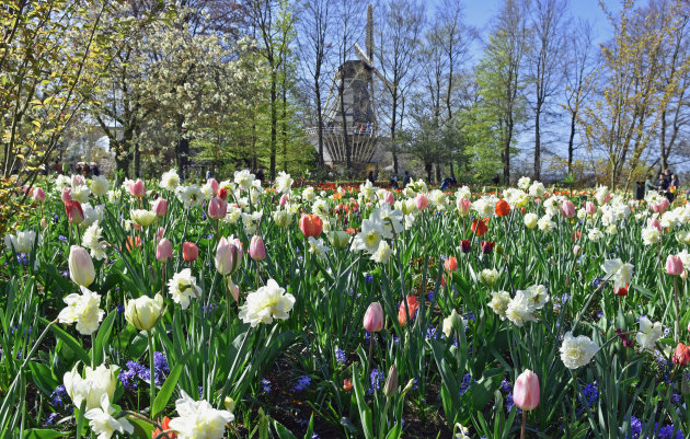 Keukenhof in april