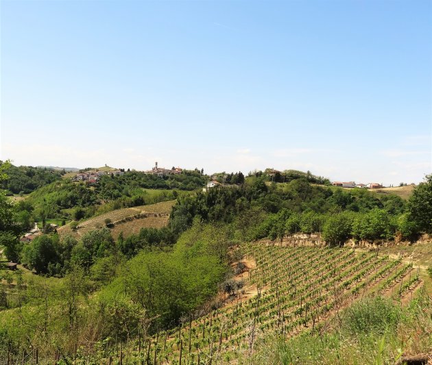 Unesco werelderfgoedgebied in Piemonte