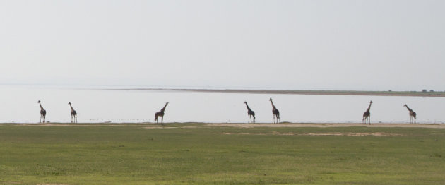 Veilig bij het meer