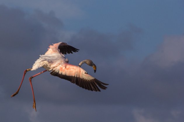 Ballet in de lucht