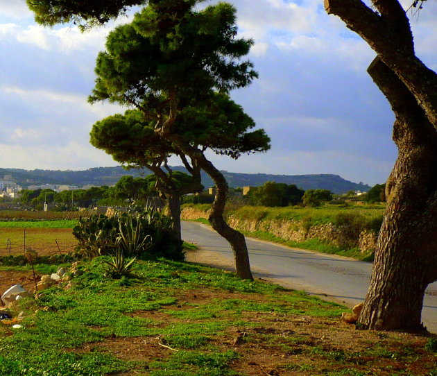 Het groene landschap van Malta