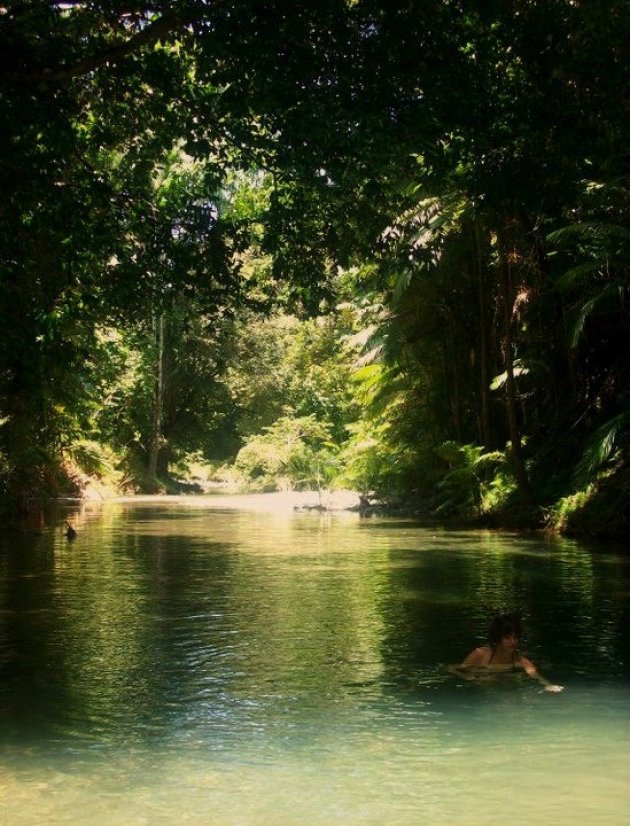 Cape tribulation