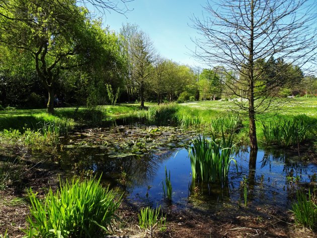 Adembenemende wandeling in het Arboretum Kalmthout