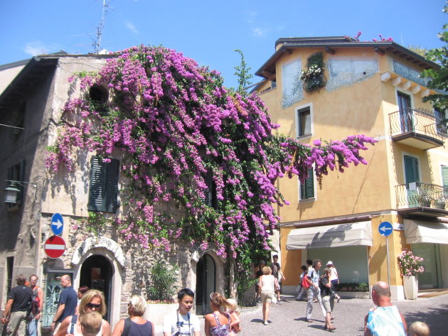 Blauwe regen in Sirmione