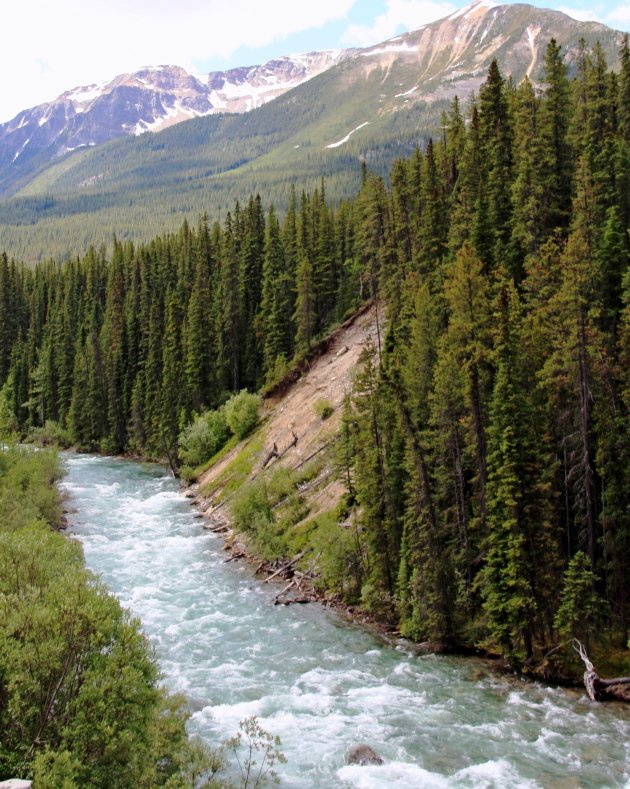 Jasper NP