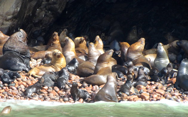 Ballestas eilanden