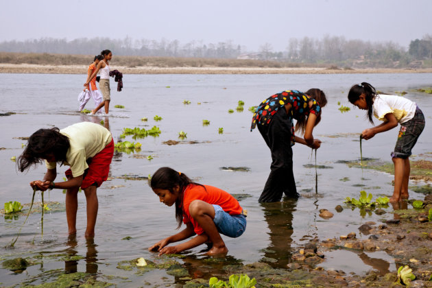 Visjes zoeken in de Rapti rivier