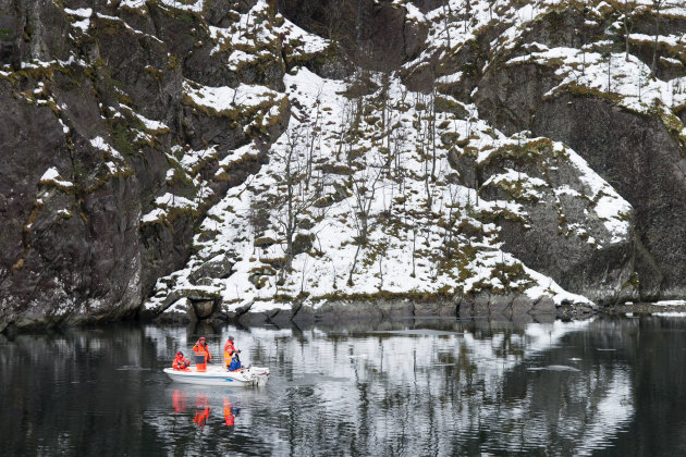 Vissen in winterse fjorden