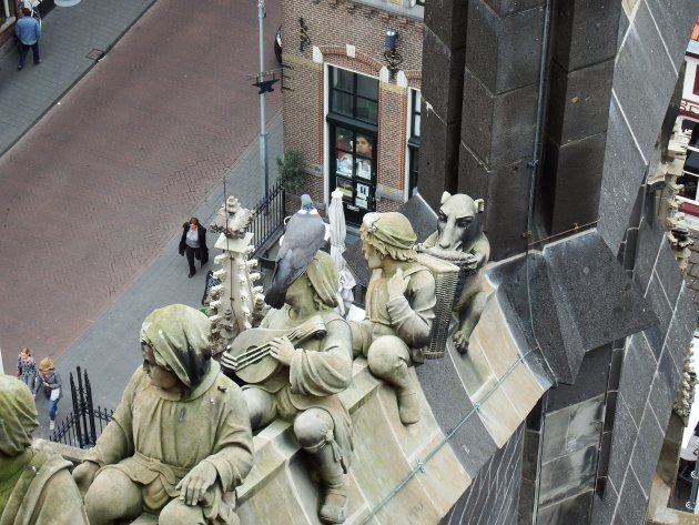 De wonderlijke klim - Den Bosch - 'n bietje gluren