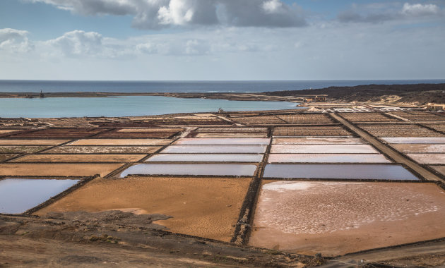 Salinas de Janubio