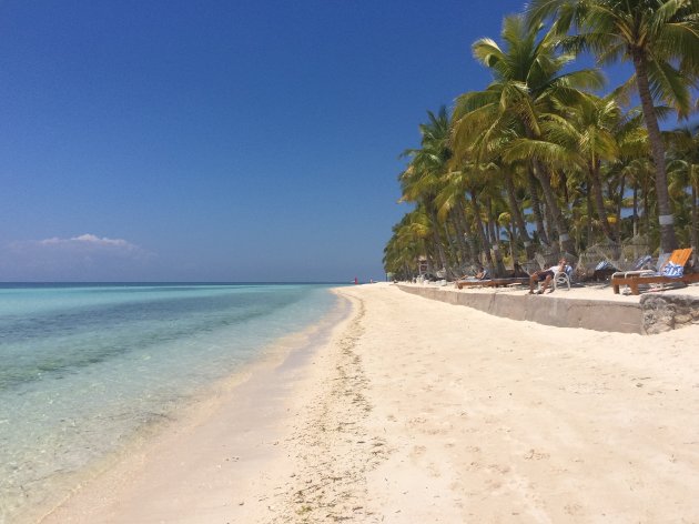 Bohol beach